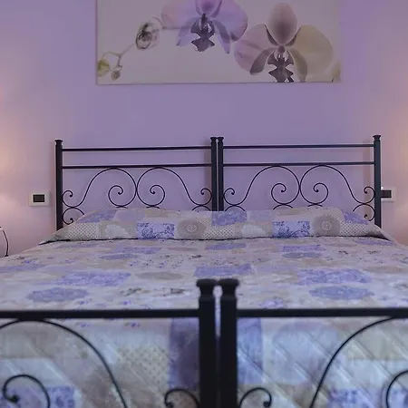 La Francigena 3* Lucca